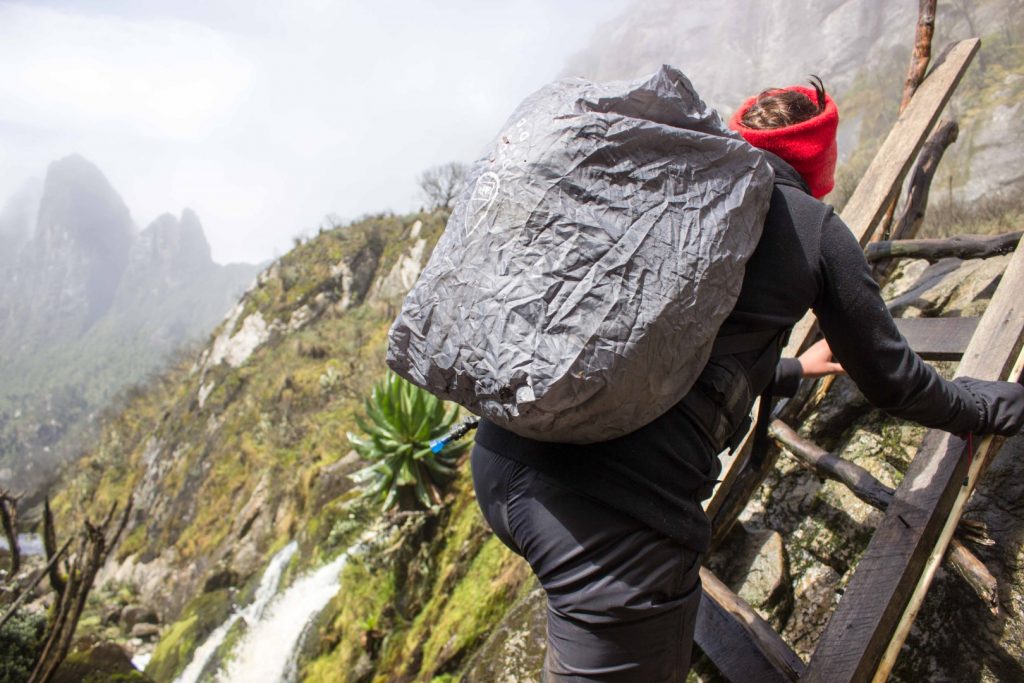 Mutinda hike to Rwenzori Mountains, common on a short Rwenzori hiking tour