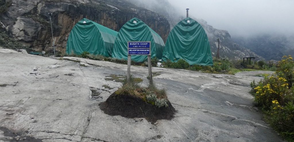 Bugata camp on Rwenzori Mountains